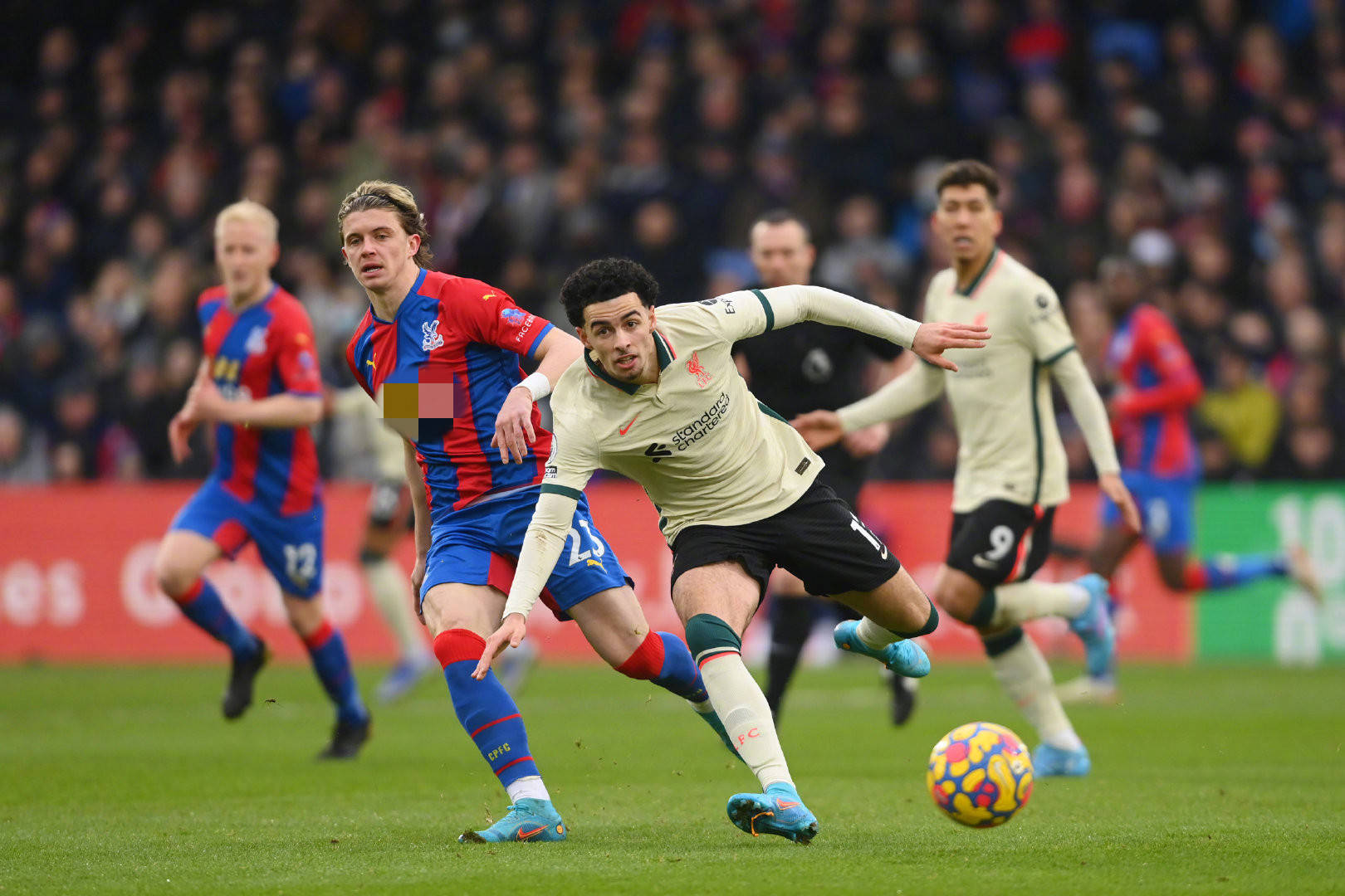 而非仅凭 而非仅凭